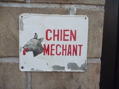 Chien Mechant